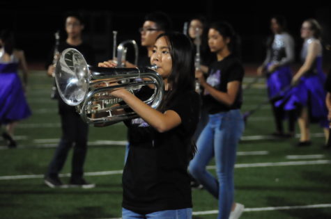 Marching into a New Era of VAPA