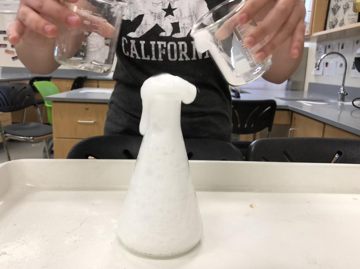Sophomores wrote lab reports on their Genius Project that includes information on how to perform each demonstration and the chemistry concepts behind the reactions