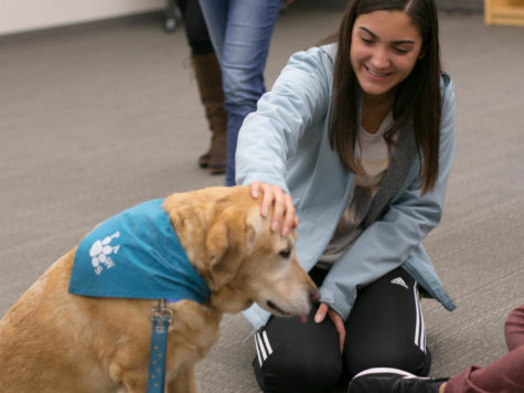 Students De-Stress with Therapy Dogs