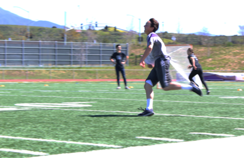 Pegasus Brings Home Gold in House Olympics