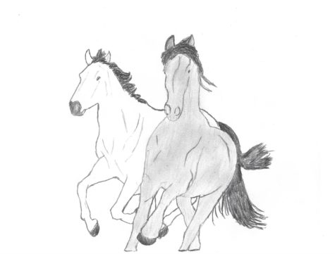 ‘Old Town Road’s’ Rise and Fall on the Charts