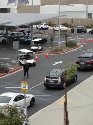 Road Safety Concerns on Campus Pile Up