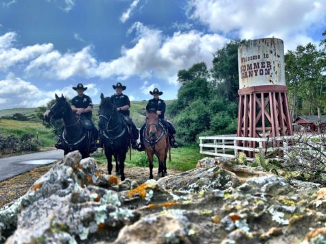 Irvine Mounted Unit Is More Active During Holiday Season