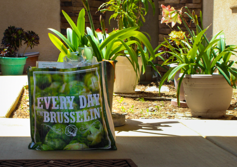 From Shopping at Whole Foods to Stuck-at-Home Foods: Best Grocery Delivery Services