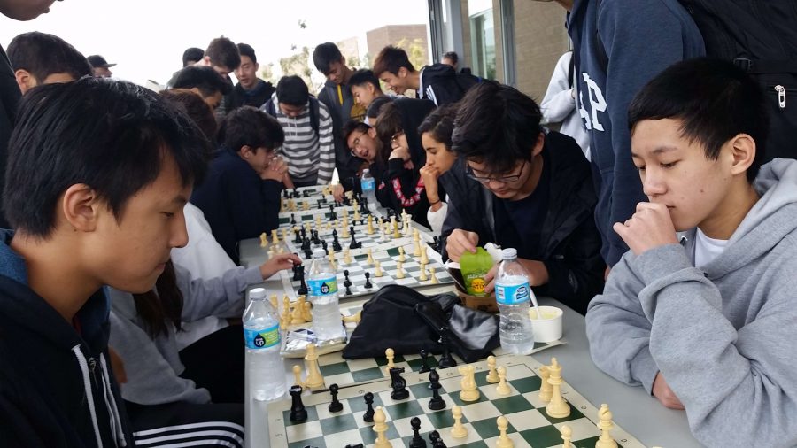 Students gather around chess boards at lunch to play chess with their friends.