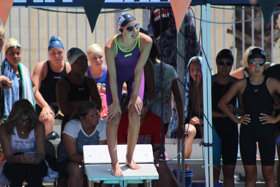 Sophomore+Gabi+Taylor+prepares+for+her+leg+of+the+200+medley+relay+by+waiting+on+the+diving+board.