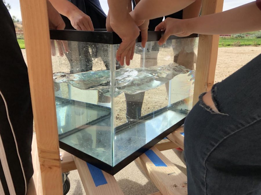 Students from the 2017-18 Living Earth classes collaborate around a fish tank resting upon a wooden structure that they constructed themselves. The structure contains wheels that students drilled on with help from principal John Pehrson in the Innovation Lab. 