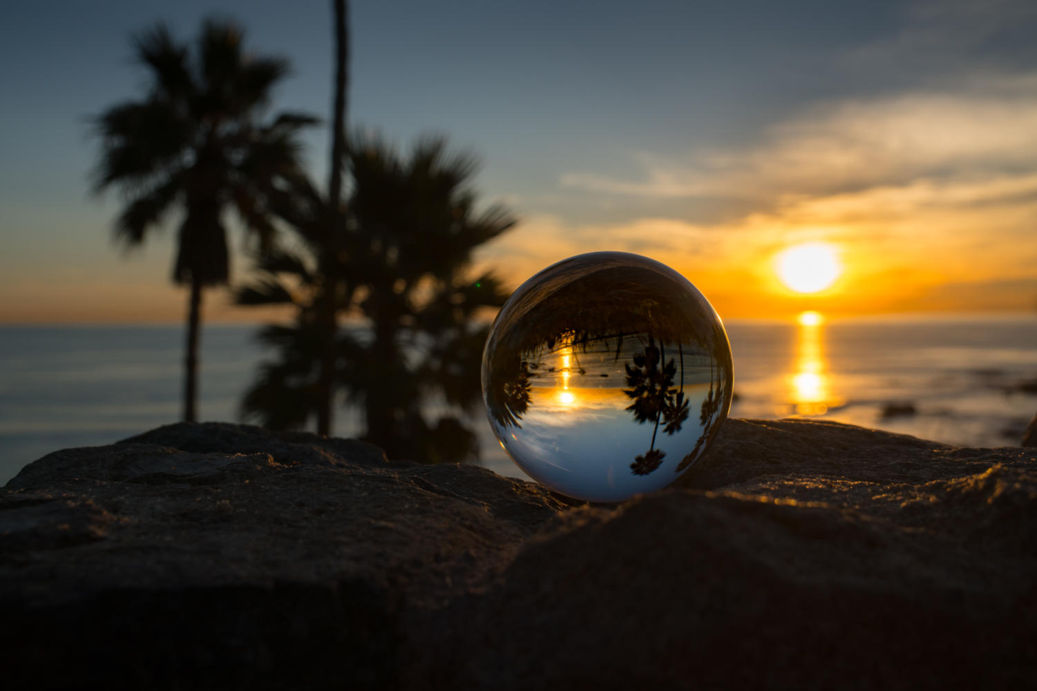 Entering Irvine Talk’s second year, students will showcase their many perspectives on the world around them. Their performances starting with the initial audition on Nov. 6 will flip, turn and change the way the community views the real world.