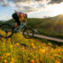 Get Outside With the Top Five Trails In Orange County