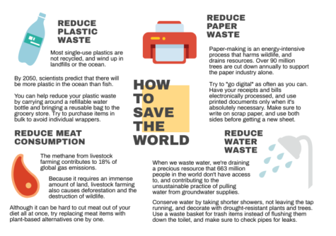 Sophomore Students Make a Sustainable Change