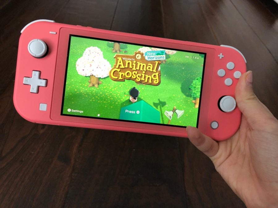 Animal crossing best sale console sold out