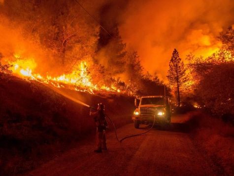 California’s dry climate nurtures forest fires. Homes surrounded by dry grass and bush are especially vulnerable to burning down.