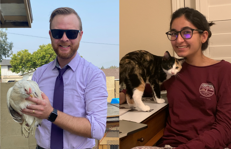 On the left, instrumental music director Kyle Traska holds his pet chicken, Elsa, for whom he assembled a coop out of a neighbor’s old kitchen cabinet. On the right, junior Safah Faraz spends time with her four-month-old calico, Pepper, who is a clumsy yet lovable fool.