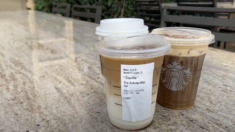Fall Starbucks Drinks Review