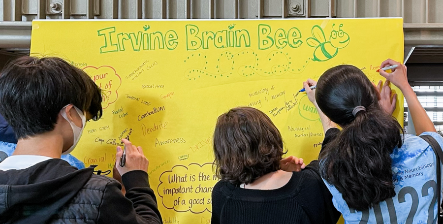 Students write responses to prompts, such as their favorite part of the brain or which parts of brain research interest them most, on a poster at the Irvine Brain Bee, which took place on March 5. Over 40 high schools were represented at the event, according to information from competition director Manuella Yassa. *Content Warning: The following image in this photo gallery contains an uncensored image of a human brain*
