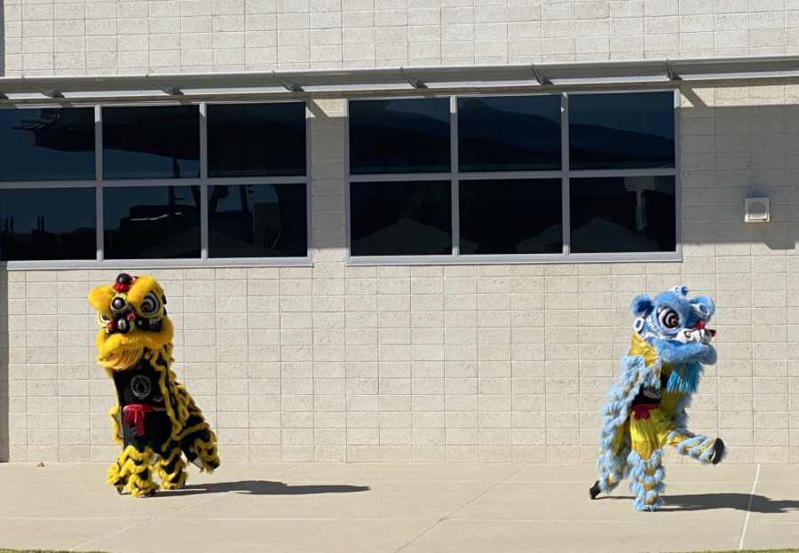 Lion dancers performed traditional lion dancing to Chinese music to help promote their club. 