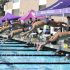Swim Prepares to ‘Fly’ into PCL Finals After Historic Win Against Northwood High