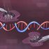 The Ableist Downside of CRISPR Gene Editing