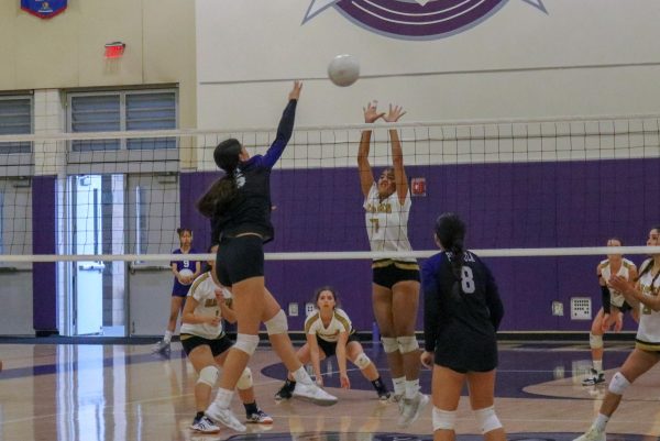 Chao spikes and attacks the ball down and scores a point in the second set with an assist from setter and junior Lana Nguyen. The girls will next play at Woodbridge High on Oct. 5.