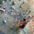 Senior Ernest Lin Conquers Heights One Climb at a Time
