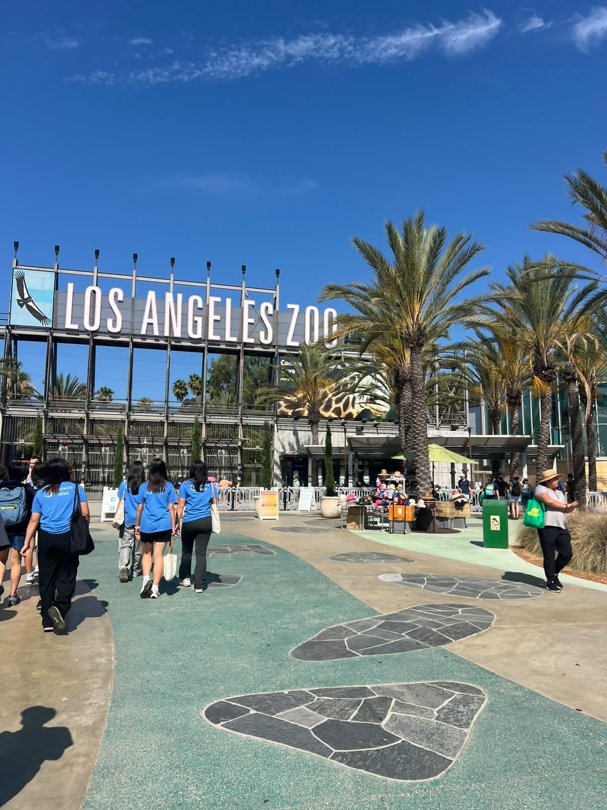 The Zoology Club visits the Santa Ana Zoo. “We have opportunities to volunteer and get involved in animal rights issues,” Junior and secretary Amy Cho says.