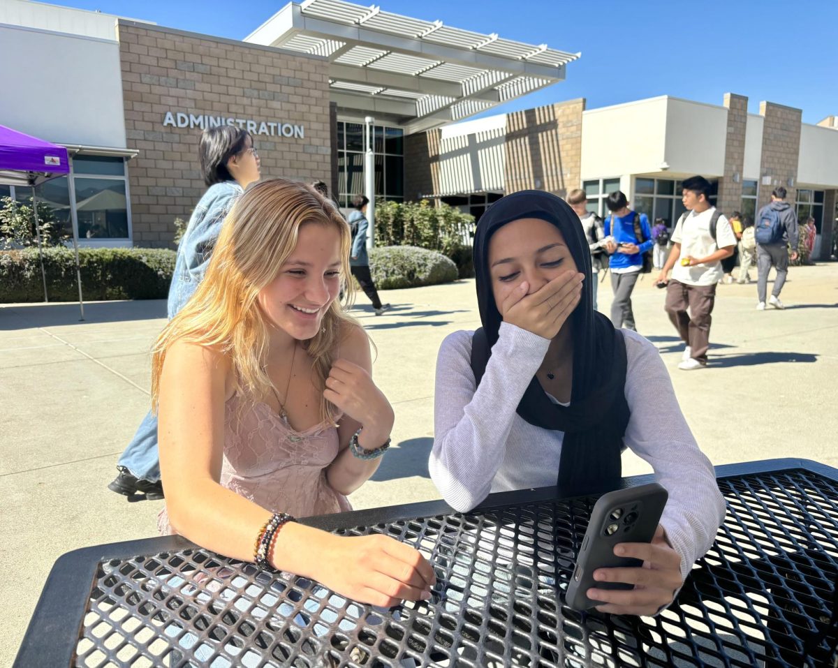 Similarly to millions of people across the globe, sophomores Hiba Laique and Coco Marshall find enjoyment in slang found on the internet. On social media and the internet, roughly 89% of Americans find themselves learning slang from these sources, according to Preply. 