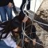 Gardening for Good Cultivates Community at Portola High
