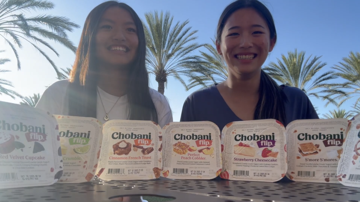 Rating Chobani Flip Flavors!