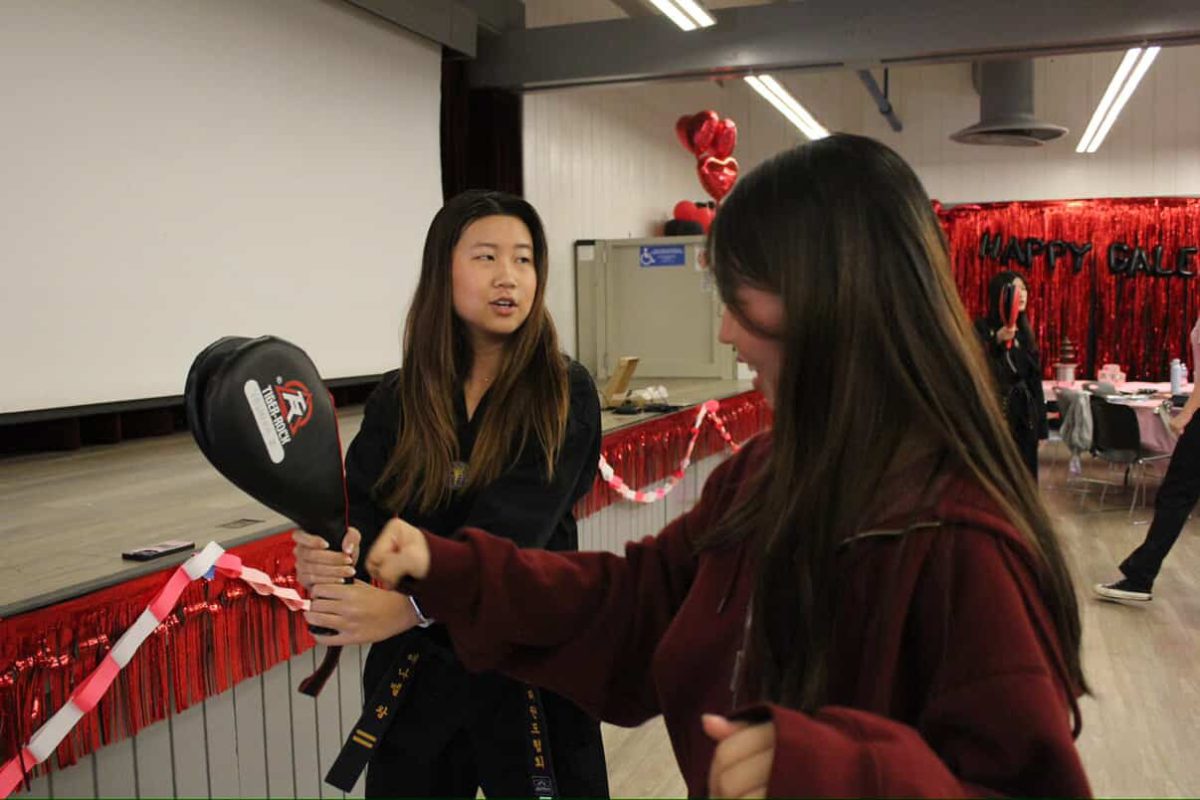 Junior Annabel Wang, a MASA executive board member, teaches self-defense at HSYAT’s annual Galentine’s Female Empowerment Day workshop. “We all come from different backgrounds,” MASA co-founder and junior Nimishii Sharma said. “Some of us do taekwondo, others do karate, others do kendo. The fact that we were able to align a curriculum across those different styles and create a cohesive workshop is something we’re very proud of.”