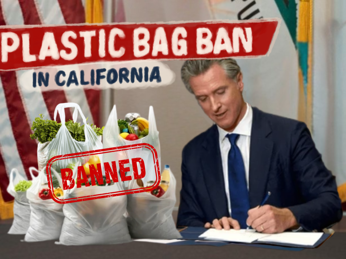 Governor Gavin Newsom signed SB 1053, a law banning plastic bags at retail checkouts, on Sep. 22, 2024. The law has been fully in effect since Jan. 1. “I don't think there will be a lot of protest against this,” Animal Environmental Protection Club member and junior Benjamin Kim said. “You can just buy a reusable one, and you can keep it forever. I feel like this is actually beneficial to the community and the people.”